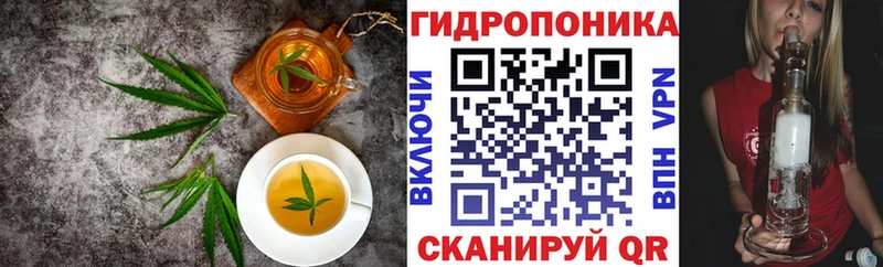 MEGA вход Ясногорск Cannafood марихуана