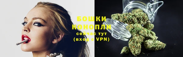 ПСИЛОЦИБИНОВЫЕ ГРИБЫ Балахна