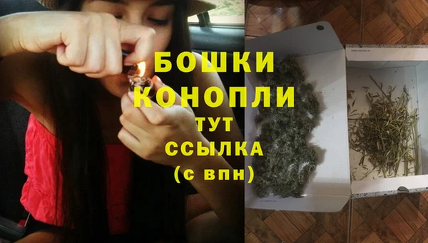 сатива Баксан
