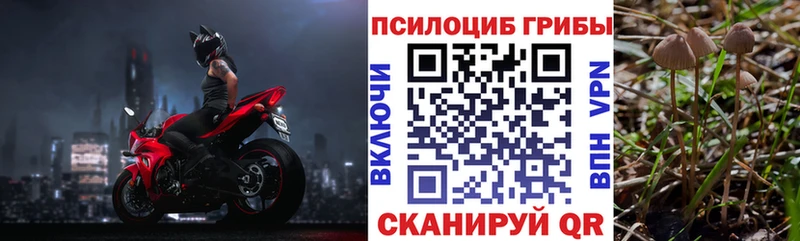 Галлюциногенные грибы GOLDEN TEACHER Ясногорск