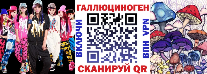 где купить   omg как войти  Галлюциногенные грибы мицелий  Ясногорск 